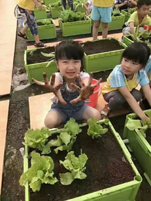 綠化西幼兒園榮登CCTV科教頻道